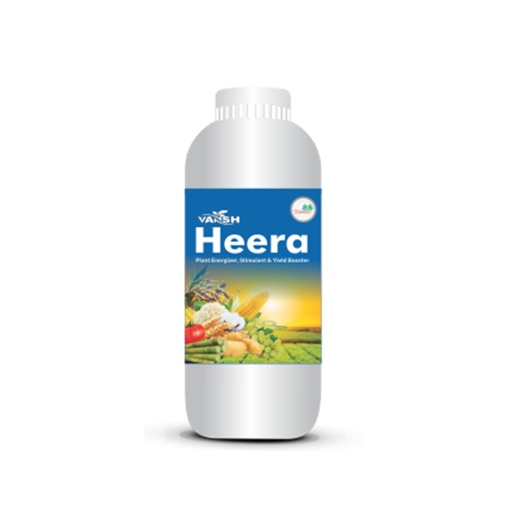 Vansh Heera